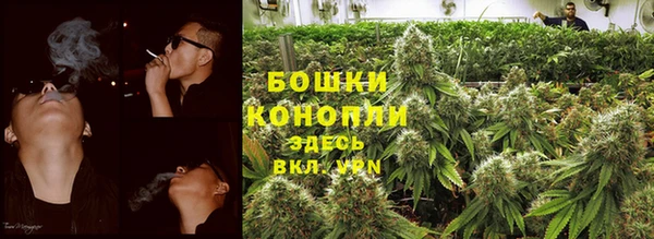 трава Балахна