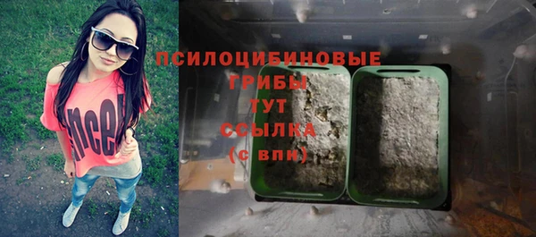 каннабис Новокубанск