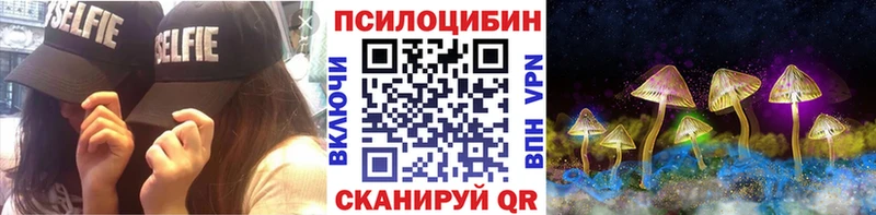 купить наркотик  Каспийск  Псилоцибиновые грибы Psilocybine cubensis 