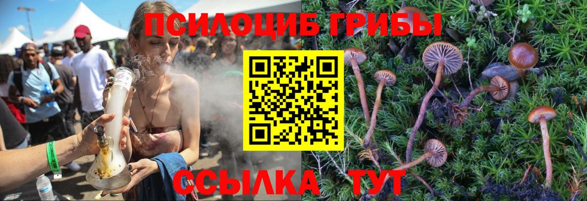 Каспийск  закладка  Вход с VPN  Псилоцибиновые грибы GOLDEN TEACHER 
